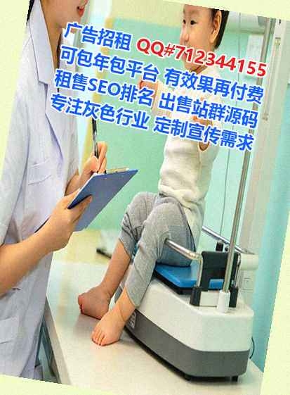 英德借腹生子系统集成公司